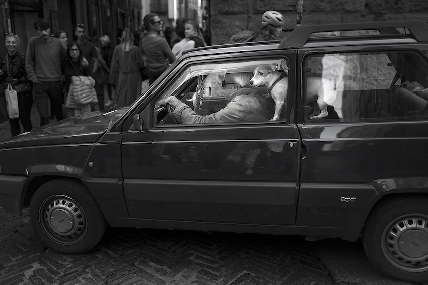 Sony World Photography Awards 2027 announcement celebrating global visual storytelling