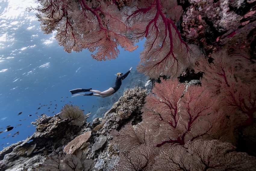 Sony World Photography Awards 2027 announcement celebrating global visual storytelling